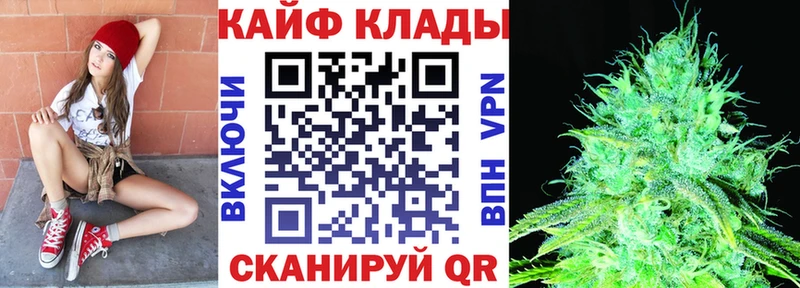 Купить закладку Alpha-PVP  Конопля  Кокаин  Меф мяу мяу  ГАШИШ  Нижний Тагил