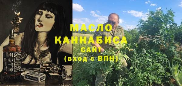 тгк Дмитров