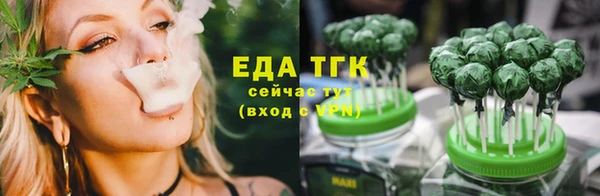 тгк Дмитров