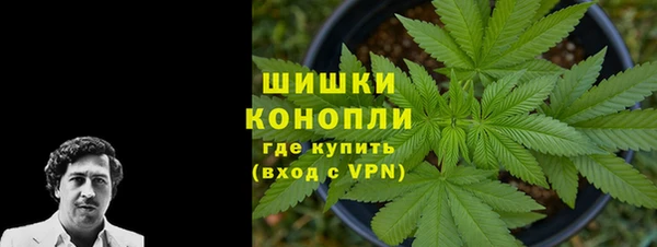 тгк Дмитров