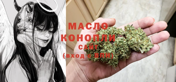 тгк Дмитров
