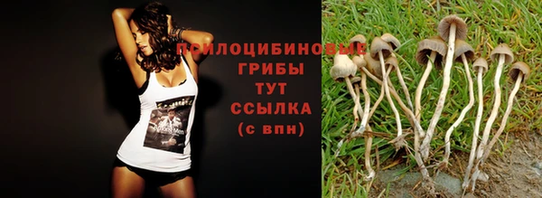 кокс Дмитриев