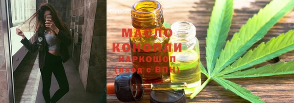 тгк Дмитров